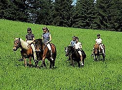 Reter im Bayerischen Wald